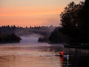 FB_IMG_1764674814825